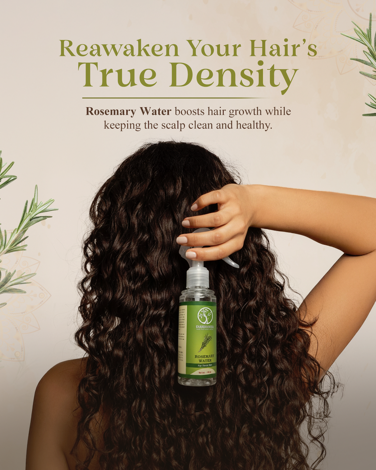 01 01 26_chndanvda_4dfa7132 4918 4aac 9128 142a42689504