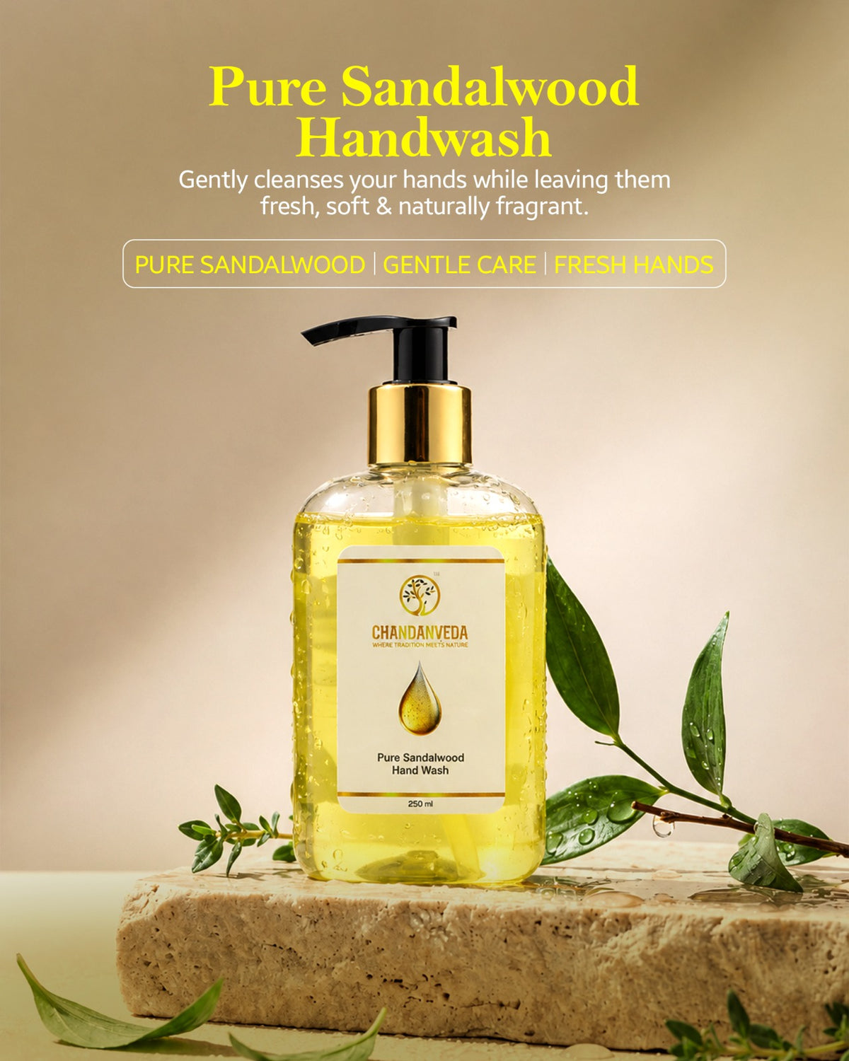 Whatsappimage2026 09 18at16
